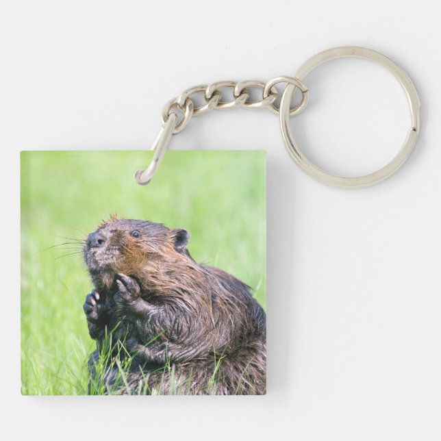 Wet Beaver Key Ring (Back)