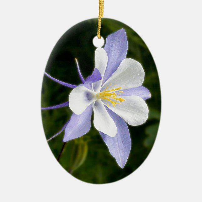 Wet Blue Columbine Ceramic Tree Decoration (Front)