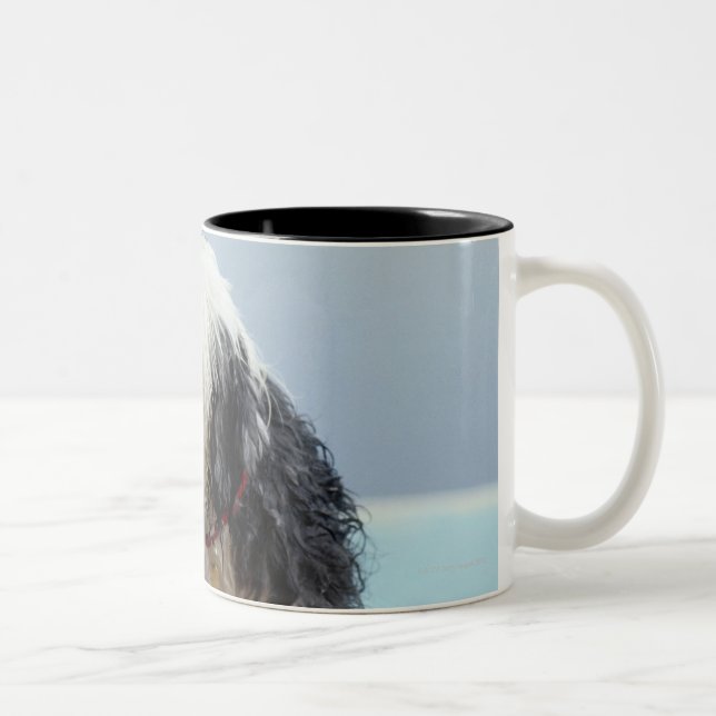 Wet Dog By a Swimming Pool Two-Tone Coffee Mug (Right)