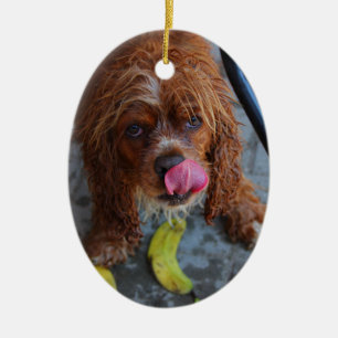 Wet Dog with a Banana Ceramic Tree Decoration