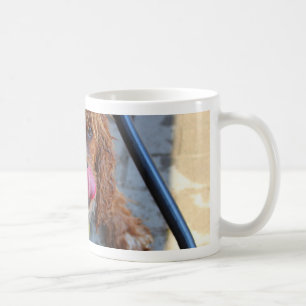 Wet Dog with a Banana Coffee Mug