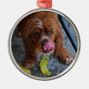 Wet Dog with a Banana Metal Ornament