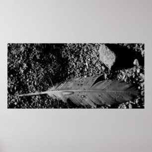 Wet feather poster