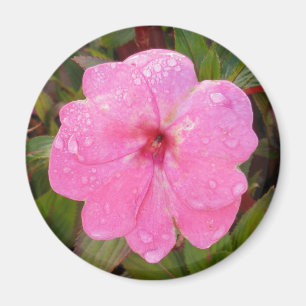 Wet Flower magnet