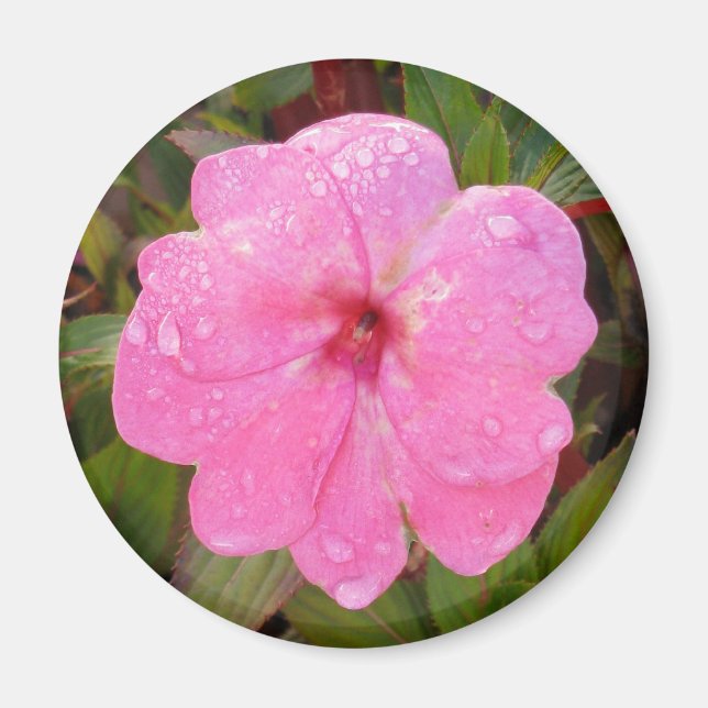 Wet Flower magnet (Front)