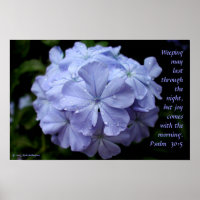 Wet Flower