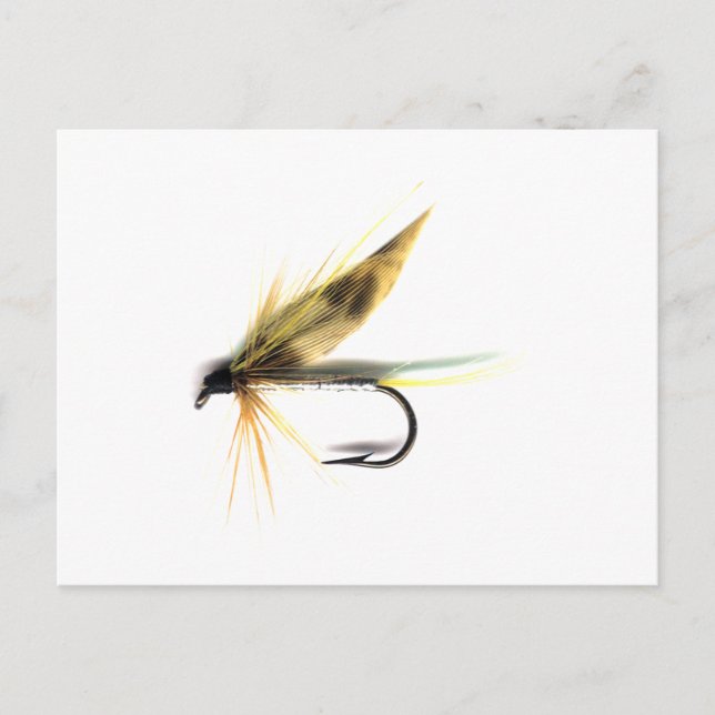 Wet Fly (Cumming's) Postcard (Front)