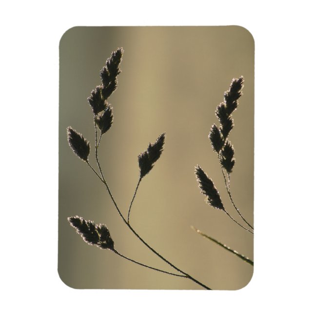 Wet grass ear magnet (Vertical)