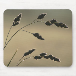 Wet grass ear mouse pad