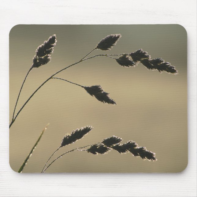 Wet grass ear mouse pad (Front)