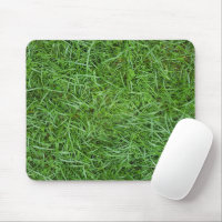 Wet Green Grass