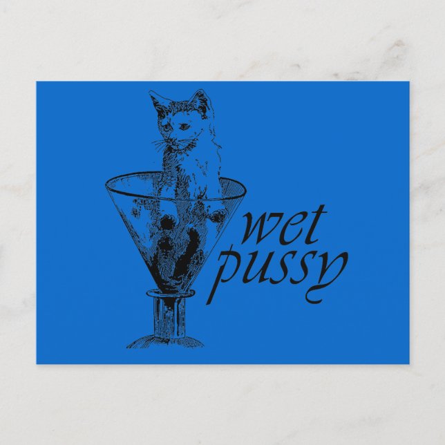 Wet Kitty Postcard (Front)