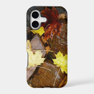 Wet Leaves and Rocks Autumn Nature Photography