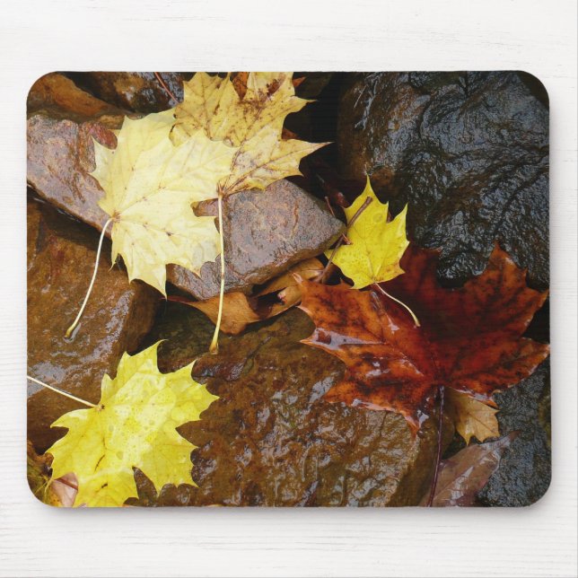 Wet Leaves and Rocks Autumn Nature Photography Mouse Pad (Front)