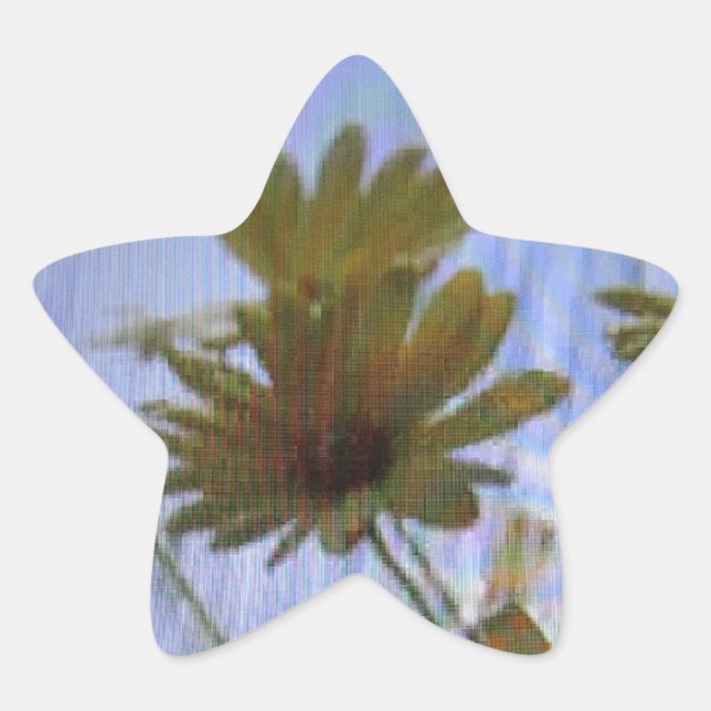 Wet marguerites. star sticker (Front)