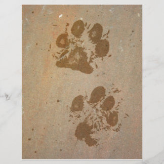 Wet Paw Prints