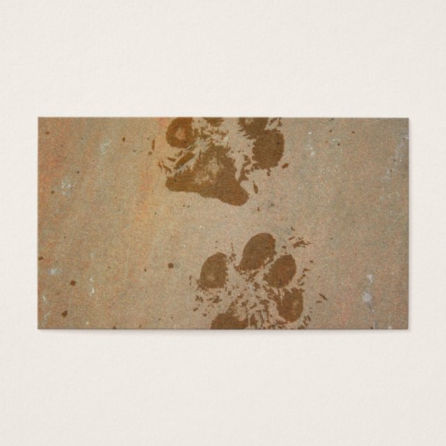Wet Paw Prints (Front)