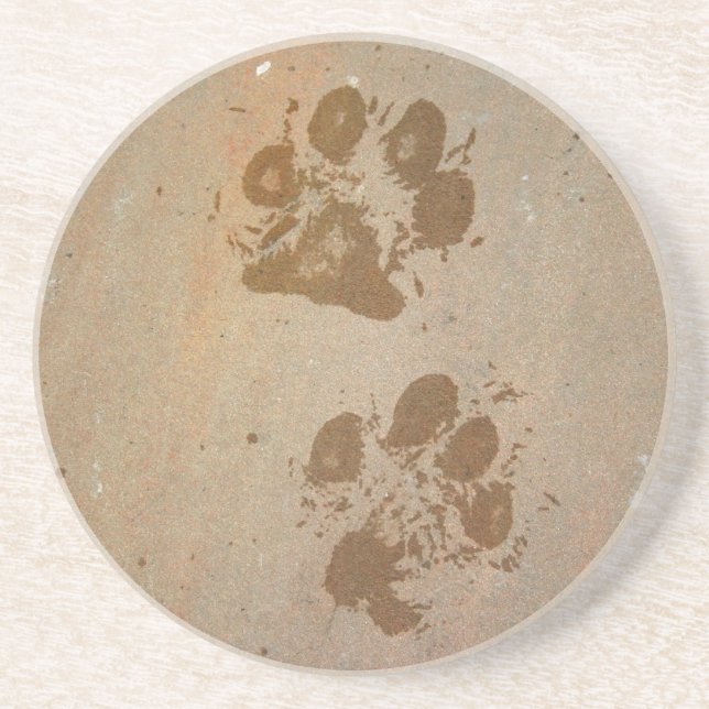 Wet Paw Prints Coaster (Front)