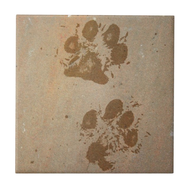 Wet Paw Prints Tile (Front)