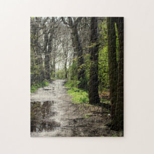 Wet Rain Puddle Path in Moss Covered Tree Forest Jigsaw Puzzle