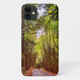 Wet Road Through Green Trees in Humboldt Autumn iPhone 11 Case