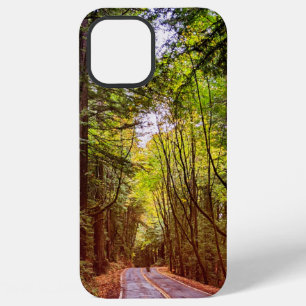 Wet Road Through Green Trees in Humboldt Autumn iPhone 12 Pro Max Case