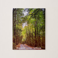 Wet Road Through Green Trees in Humboldt Autumn
