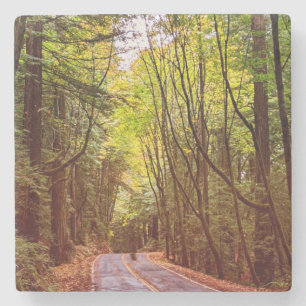 Wet Road Through Green Trees in Humboldt Autumn Stone Coaster
