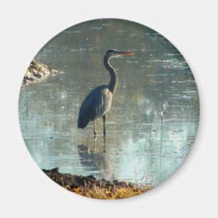 Wetland Crane Magnet