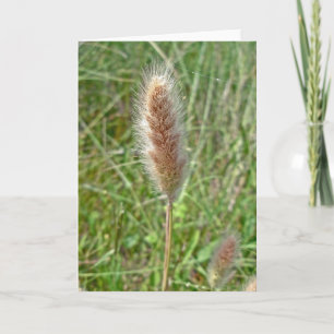 Wetland Grass Seedhead Note Card