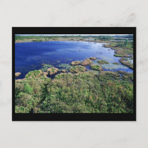 Wetland habitat at Okefenokee National Wildlife Re Postcard