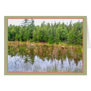 Wetlands