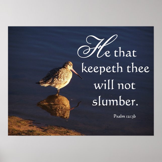 Wetlands Bird God Will Keep You Print (Front)