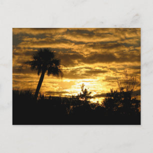 Wetlands Morning II Postcard