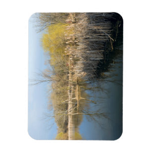 Wetlands Reeds and Trees in West Saint Paul Magnet