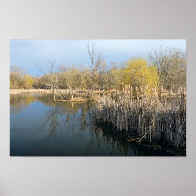 Wetlands Reeds and Trees in West Saint Paul Poster (Front)