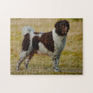 Wetterhoun Dog Jigsaws. Jigsaw Puzzle