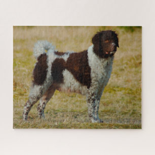 Wetterhoun Dog Jigsaws. Jigsaw Puzzle