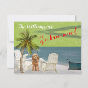 We've Moved Dog Ocean Beach Budget Move   Announcement