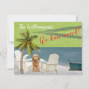 We've Moved Dog Ocean Beach Budget Move   Announcement