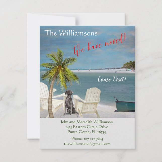 We've Moved Dog Ocean Beach Budget Move Announcement (Front)