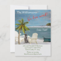 We've Moved Dog Ocean Beach Budget Move