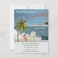 We've Moved Dog Ocean Beach Budget Move   