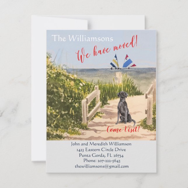 We've Moved Dog Ocean Beach Move Announcement (Front)