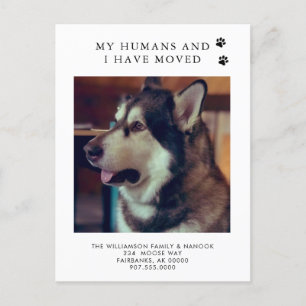 We've Moved Dog Photo New Address Dog Moving  Announcement Postcard