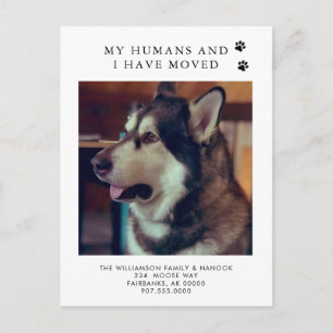 We've Moved Dog Photo New Address Dog Moving  Announcement Postcard