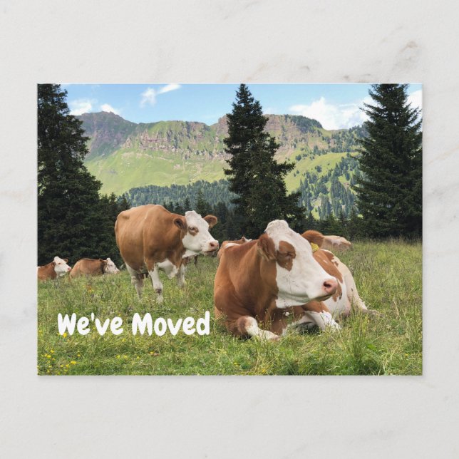 We've Moved Farm Ranch House Cow Pasture Announcement Postcard (Front)