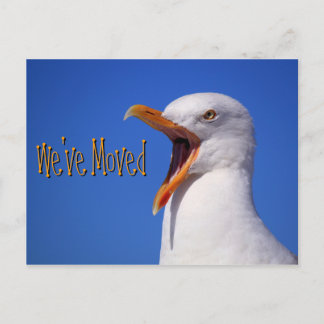 We've Moved Funny Seagull Joke Postcard
