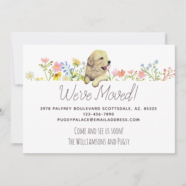 We've Moved! Golden Retriever Puppy Announcement (Front)