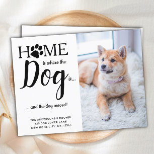 We've Moved New Address Pet Photo Dog Moving Postcard